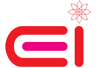 CEI Express Infrastructure